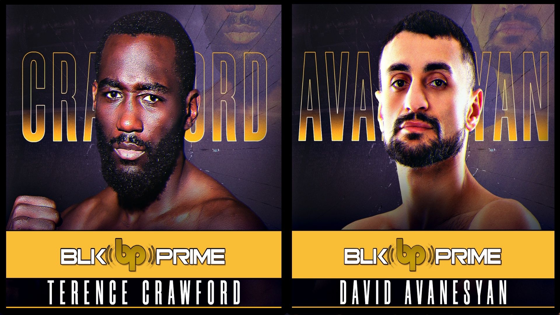 Terence Crawford Vs David Avanesyan