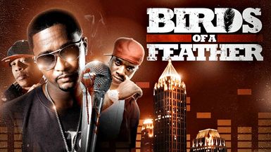 Birds of a Feather